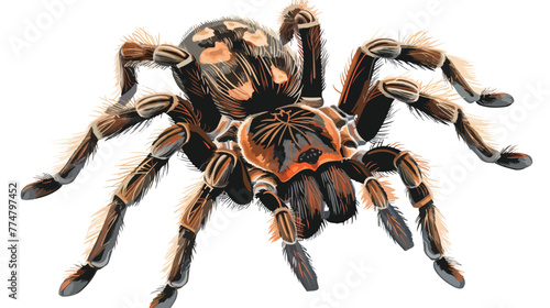 Spider tarantula on white background flat vect