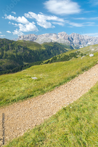 Vertical view of a dirt road for mountain hiking in the Dolomiti mountain chain, Italy. Peaks and forest on the bacground, with blue sky and white clouds.