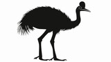 Cassowary black silhouette vector icon flat vector isolated