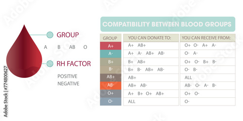 Rh and blood group and compatibility between them