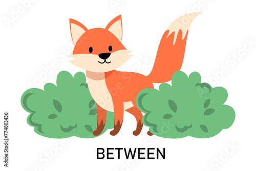 Fototapeta Naklejka Na Ścianę i Meble -  Learning English prepositions with a funny fox and green bush vector isolated. Animal character is standing between two green bushes. Cute red fox.