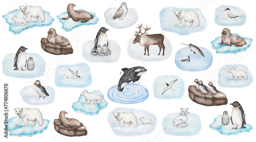 Watercolor set of illustrations. Hand painted animals of Arctic and Antarctica. Polar bear, killer whale, reindeer, fox, narwhal, fur seal, walrus. Puffin, tern, penguin, snow owl. Isolated clip art photo