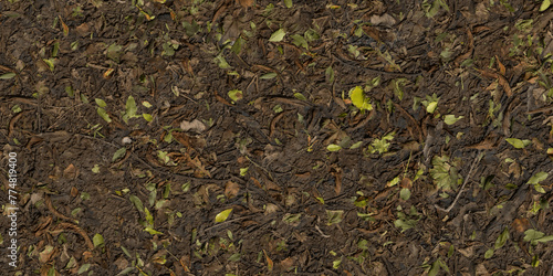 damp leafy creek bed background texture