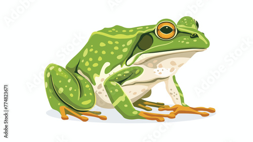 Green frog vector illustration flat vector isolated