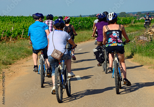 bicycle recreation in vineyards, Beaune, Department of Cote d'Or, Burgundy, France, Europe