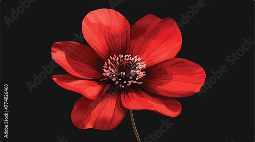 Red flower on black background flat vector