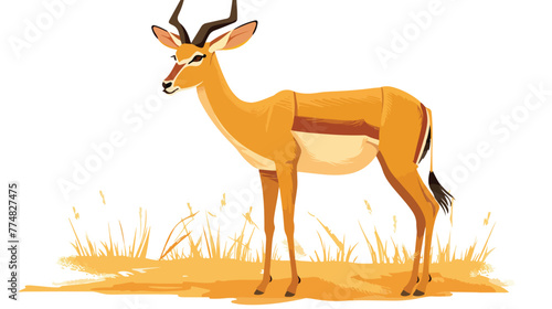 Impala in the field flat vector isolated on white