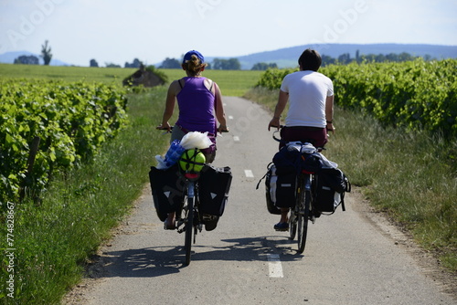 Beaune, Cote de Beaune, Cote d'Or, Burgundy, France, Europe - recreational cycling in picturesque vineyards, outskirts of the city of Beaune