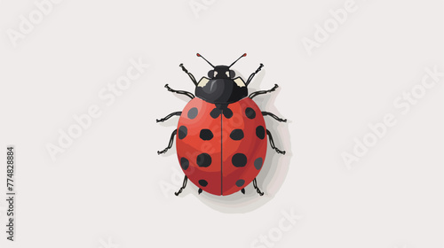 Ladybug presenting on white background  © Aliha