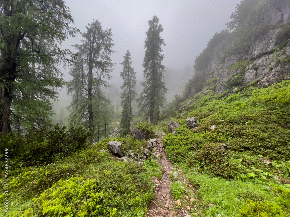 Hike with me through juicy green landscape with foggy and wet landscape at the background