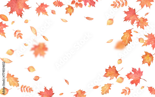 Autumn falling leaves frame. Autumnal foliage fall and orange maple leaves flying in wind motion blur. Png