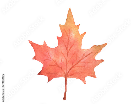 Autumn maple leaf isolated. Hand drawn watercolor illustration