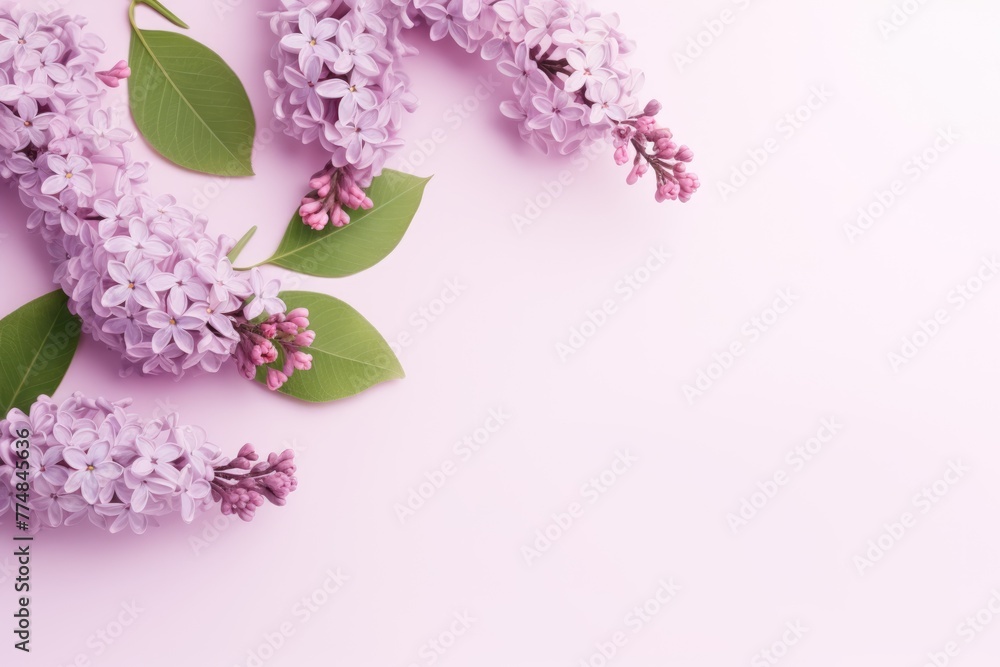 Delicate purple lilacs arranged in a heart shape on a soft pink background, a tender expression of spring and affection. Delicate purple lilacs arranged in a heart shape on a soft pink background, a tender expression of spring and affection.