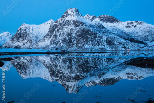 Selfjord winter reflection, Lofoten, Norway photo