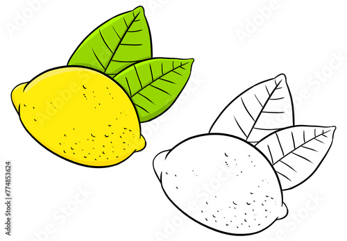 Fototapeta Naklejka Na Ścianę i Meble -  Illustration of lemon fruit and leaves. Perfect for artwork, t-shirts, cards, prints, picture books, coloring books, wallpaper, prints, etc.
