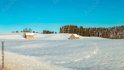 Alpine view on a sunny winter day near Pfronten  Ostallgaeu  Bavaria  Germany