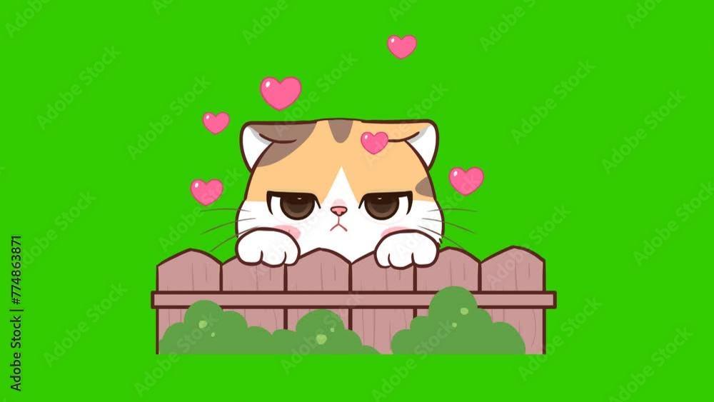 miss animation, cute cat on green screen miss animation, cute cat on green screen
