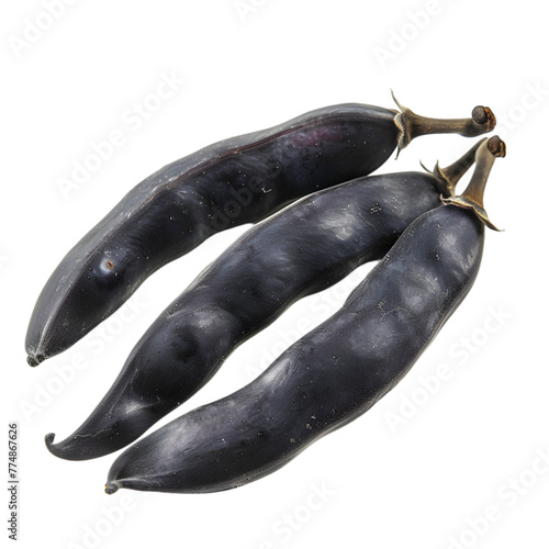 Kaunch Mucuna pruriens Ayurveda herb natural medicinal remedy ingredient, isolated on a transparent background photo