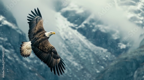 A bald eagle flying in sky in wild with snow mountain background.