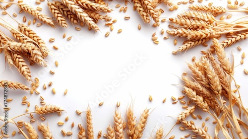 Wheat background and frame for banners, cards and invitations.
