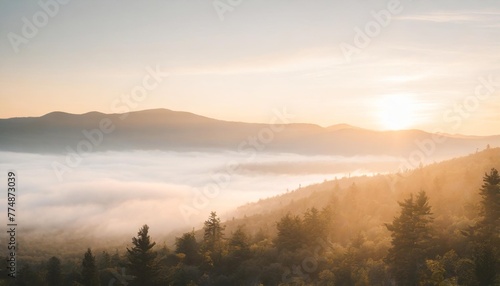 mountain forest at fog sunrise background
