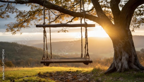 wooden swing hanging on the tree with nature background