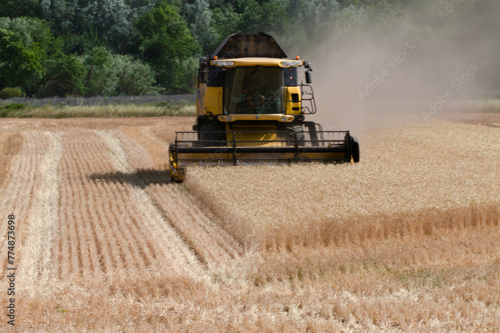 Obraz premium moissonneuse batteuse