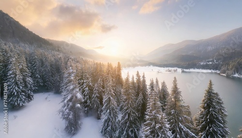 drone view of winter landscape with pine forest covered with snow and mountain lake snowy fir tree in beauty nature scenery from above christmas and new year greeting card background
