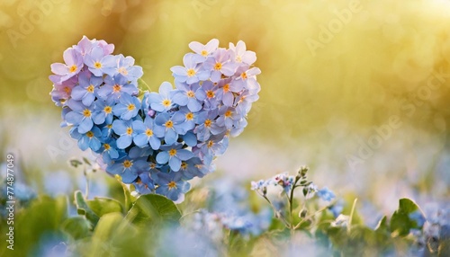 delightful bright scene with flowers forget me in form of heart spring forget me not forming blue heart on green nature background romantic flower concept love symbol copy space
