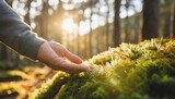 man plants lover touching green soft moss in autumn forest hand close up guy feels fluffy surface enjoys pastime outdoors on nature explore world protect nature save planet eco friendly lifestyle
