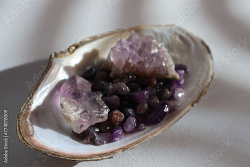 Amethyst druse and amethyst kiesel in shell on the table.