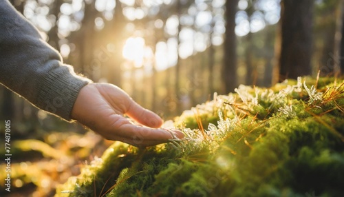 man plants lover touching green soft moss in autumn forest hand close up guy feels fluffy surface enjoys pastime outdoors on nature explore world protect nature save planet eco friendly lifestyle photo