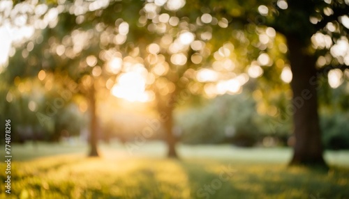 blurred nature background with trees in a park garden featuring green bokeh light in summer