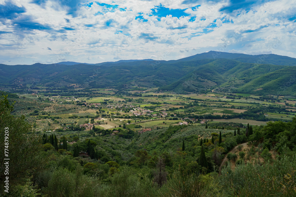 Summer landscape near Castiglion Fiorentino, Tuscany, Italy