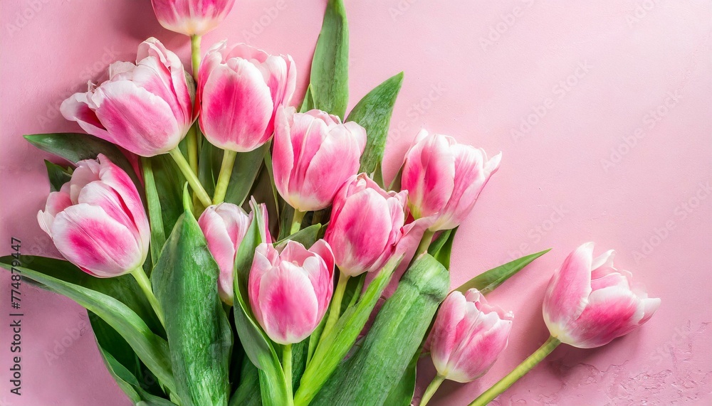 Fototapeta premium Soft Spring Symphony: Bouquet of Pink Tulips on Pale Pink Background