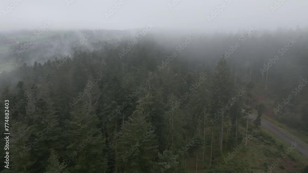 Ballade en drone au-dessus d'une route forestière et de la forêt vosgienne au milieu du brouillard Ballade en drone au-dessus d'une route forestière et de la forêt vosgienne au milieu du brouillard