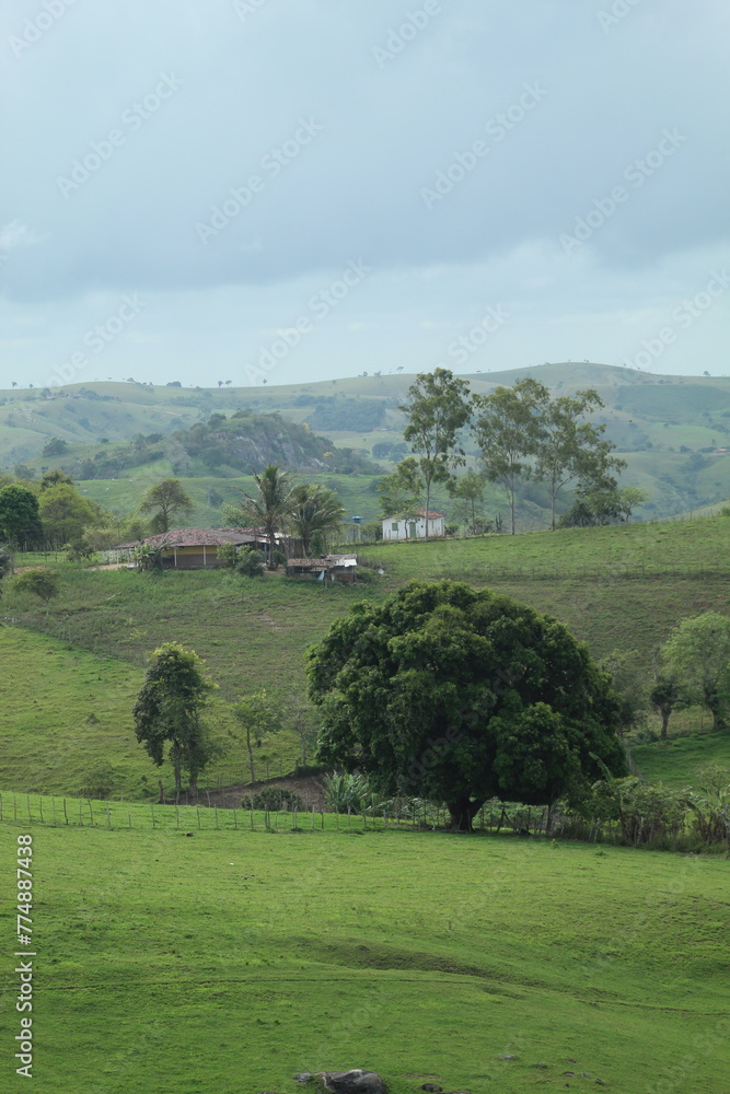 paisagem com montanhas no interior de mar vermelho, alagoas - cidade conhecida como suiça alagoana 