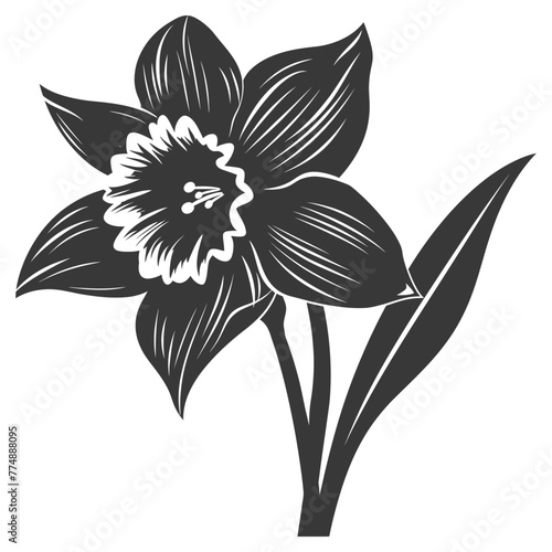 Silhouette daffodil flower black color only