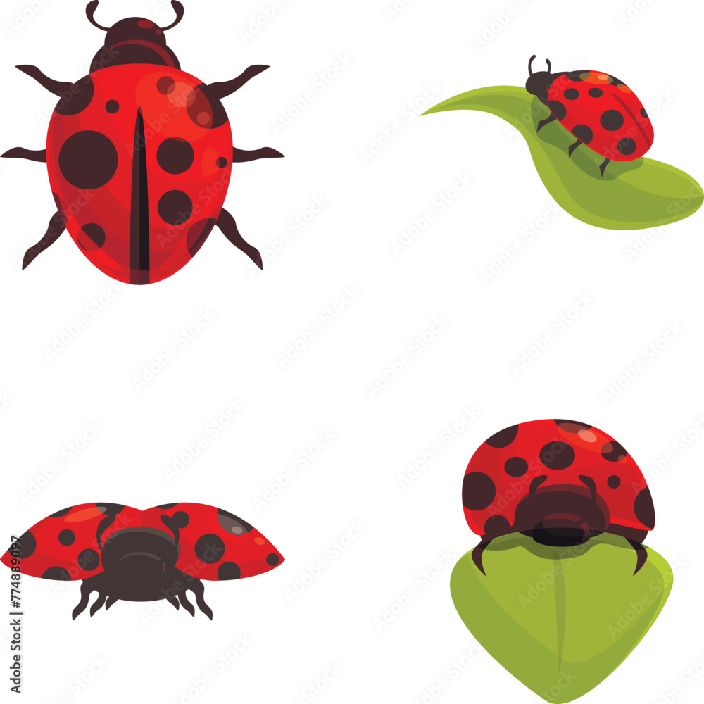 Ladybug icons set cartoon vector. Cartoon bright red ladybird. Nature, insect Ladybug icons set cartoon vector. Cartoon bright red ladybird. Nature, insect