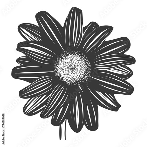 Silhouette daisy flower black color only