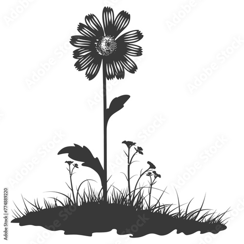 Silhouette daisy flower in the ground black color only