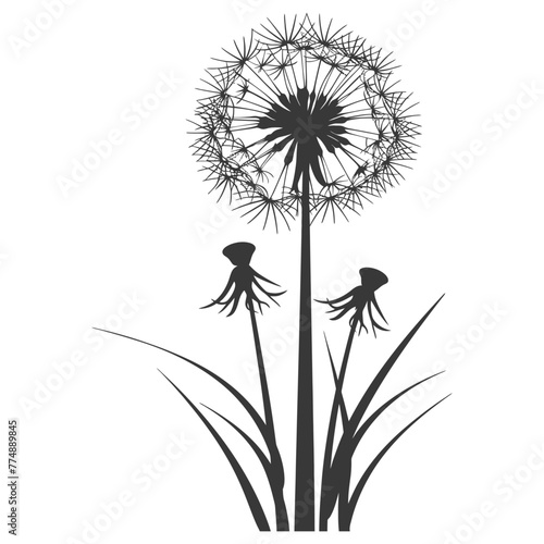 Silhouette Dandelions flower single black color only