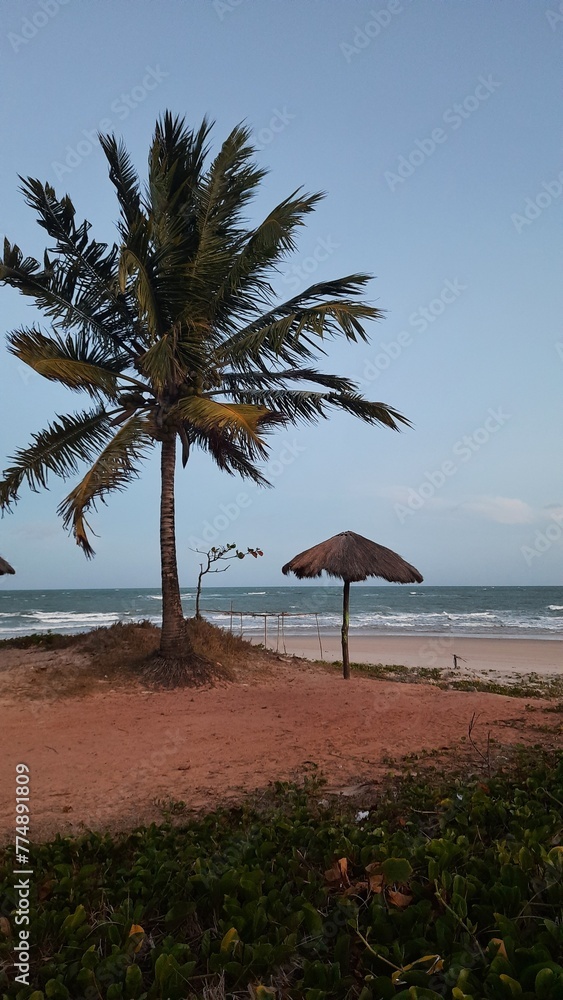 praia de japaratinga, em alagoas 