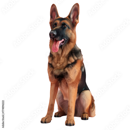 Dog sitting with tongue out on Transparent Background