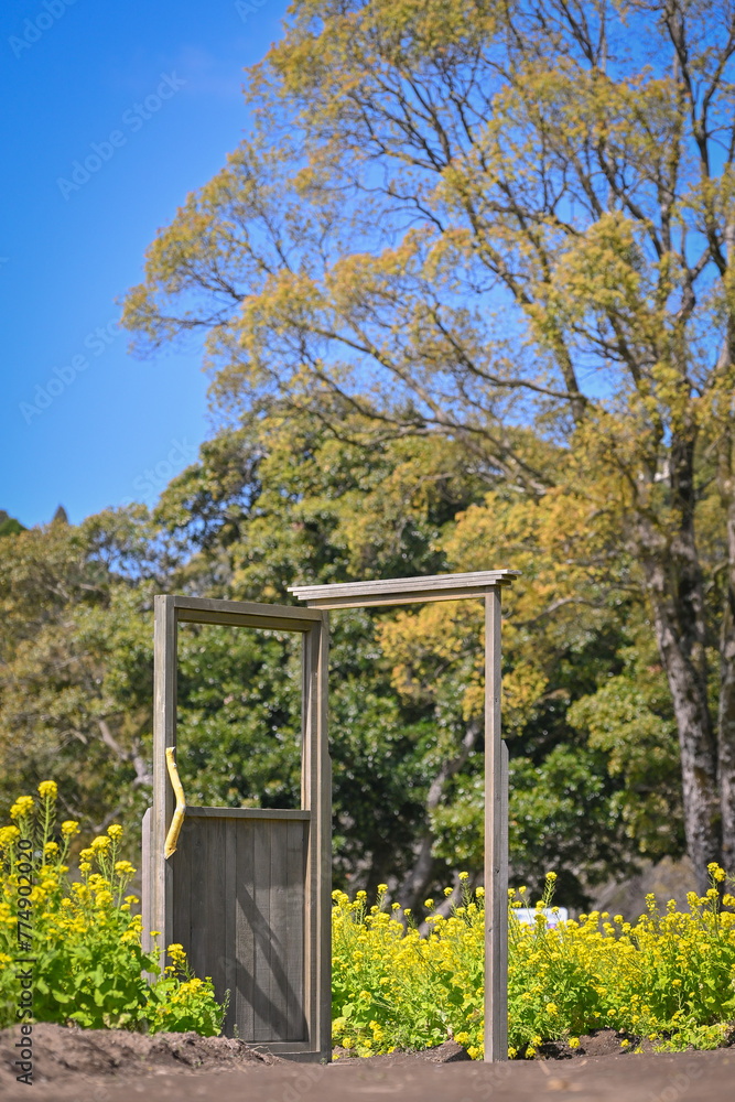 Fototapeta premium 春の訪れ