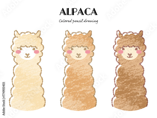 色鉛筆タッチのシンプルでかわいいモコモコのアルパカセット（正面向きの顔）