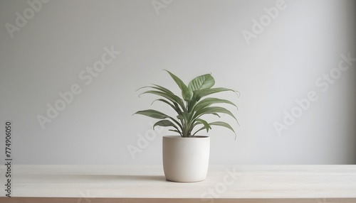 Minimalistic setting with a vase in front of a wall .