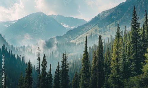 A picturesque mountain landscape with towering pine trees lining the rugged slopes photo