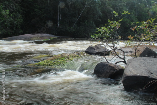 corredeiras no rio amapari no caminho do parque nacional montanhas do tumucumaque, amapá  photo