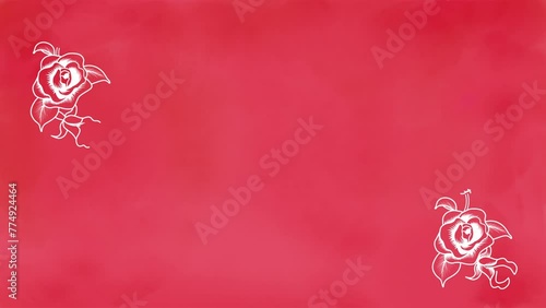 Growing Rose Flower Line Animation on the Red color background - Corner frame layout